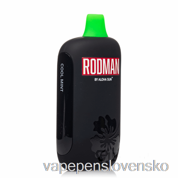 Rodman 9100 Jednorazový Cool Mint Vape Bez Nikotinu